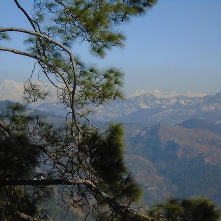 New Dolma Hotel Almora Exterior photo