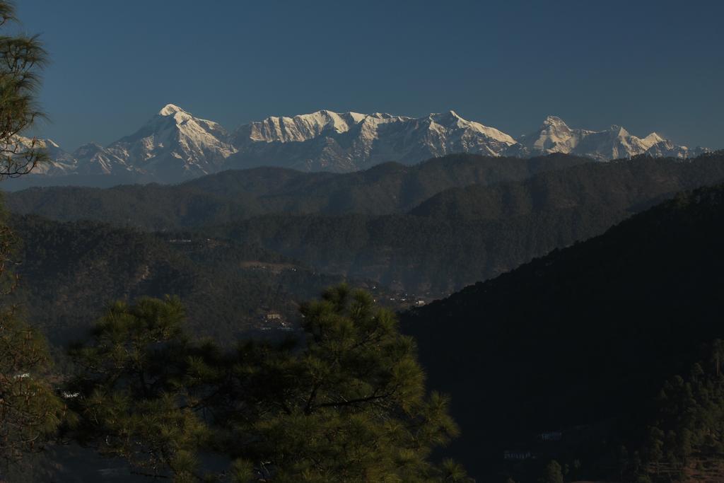 New Dolma Hotel Almora Exterior photo